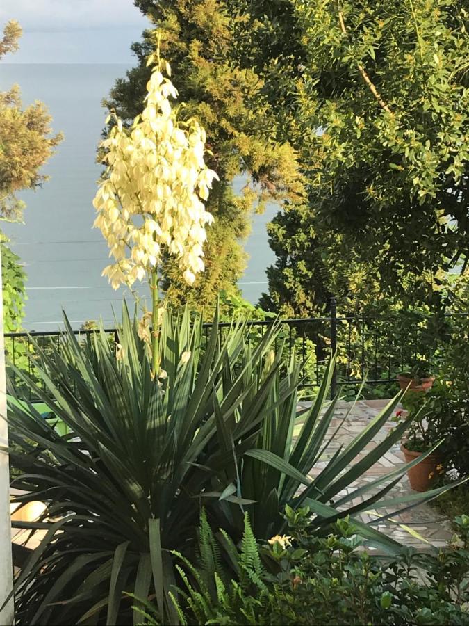 Feride Hotel Makhinjauri Buitenkant foto