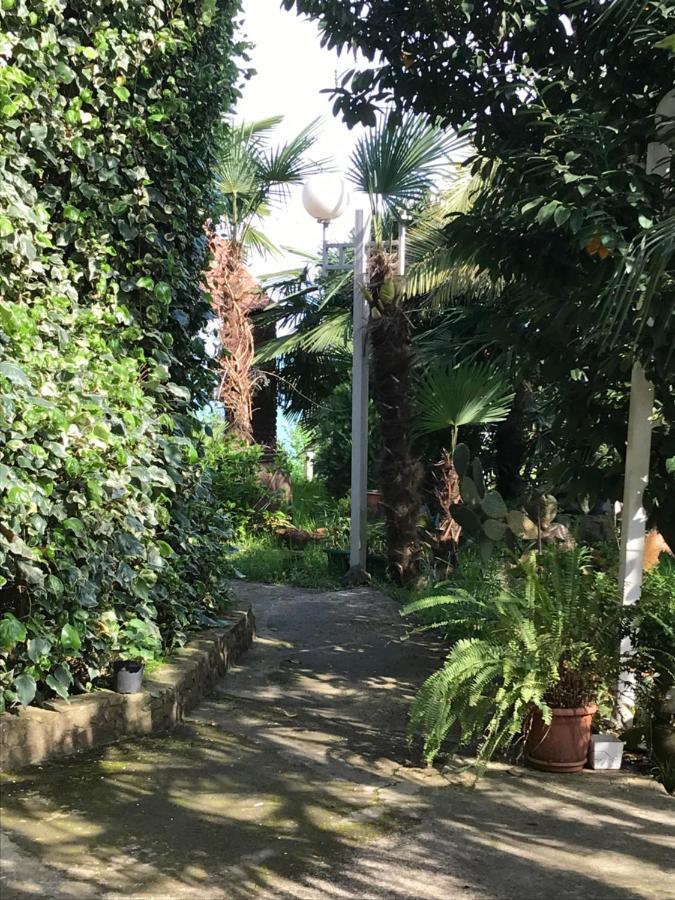 Feride Hotel Makhinjauri Buitenkant foto